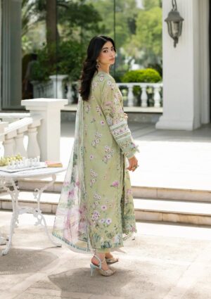 Signature Embroidered Lawn with Chiffon Collection ESG-6A JADE