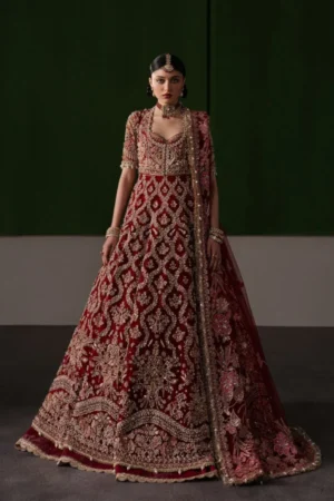 Afrozeh Brides Collection 2026 || Rosaline