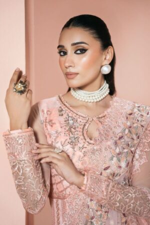 Ramsha Chiffon 2026