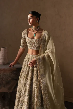 Afrozeh Brides Collection 2026 || Evline