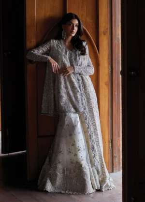 Dastangoi by Afrozeh Unstitched Embroidered Poly Net 3 Piece Suit Afsun -1210