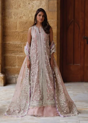Dastangoi by Afrozeh Unstitched Embroidered Organza 3 Piece Suit Dastaan-E-Noor -1212