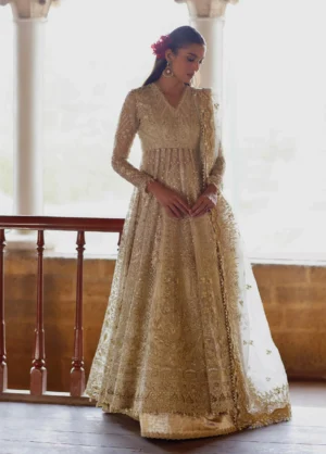 Dastangoi by Afrozeh Unstitched Embroidered Organza 3 Piece Suit Hikayat -1213