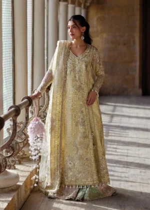 Dastangoi by Afrozeh Unstitched Embroidered Organza 3 Piece Suit Afsaan -1214