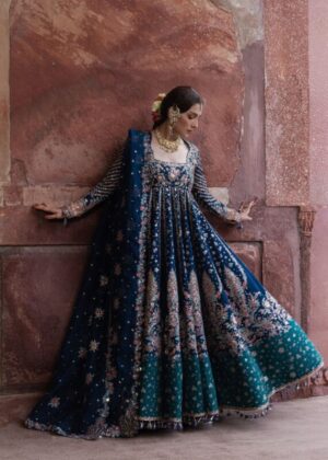 The Doll House by Hussain Rehar Unstitched Embroidered - Dill Afroz