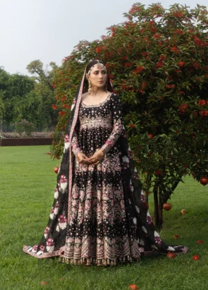 The Doll House by Hussain Rehar Unstitched Embroidered Shahnoor D-876
